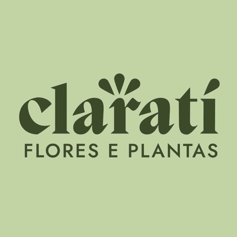  Claratí Flores